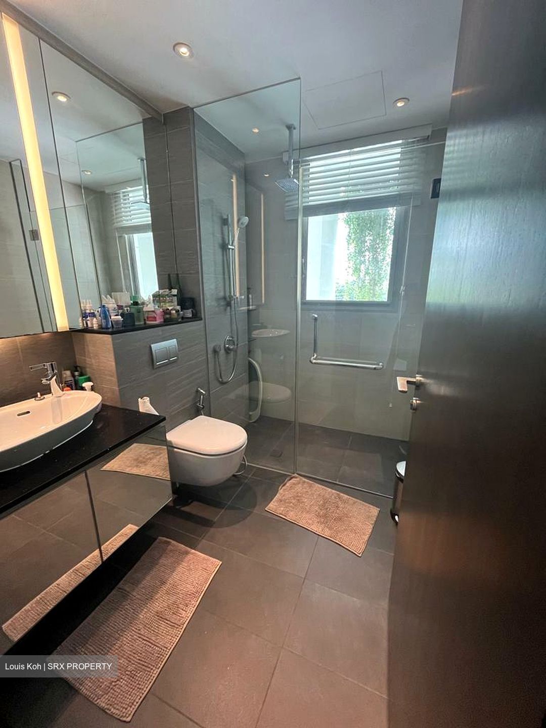 Kallang Riverside (D12), Apartment #582867091
